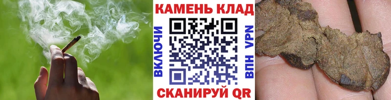 ГАШ Cannabis Волоколамск