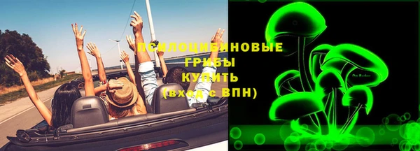 шишки Аша