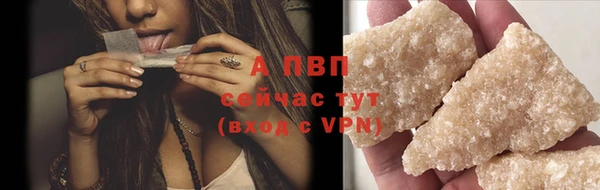 прущие грибы Белая Калитва