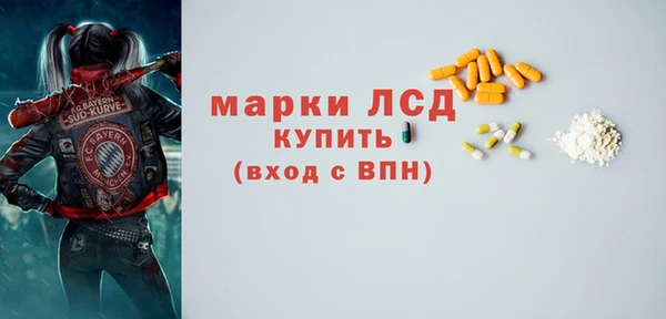 шишки Аша