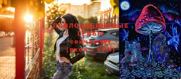 Альфа ПВП Белая Холуница