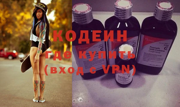 шишки Аша