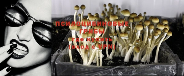 бошки Бежецк