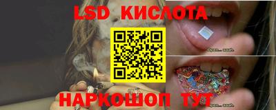 ГАЛЛЮЦИНОГЕННЫЕ ГРИБЫ Канаш