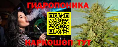 ГАЛЛЮЦИНОГЕННЫЕ ГРИБЫ Канаш