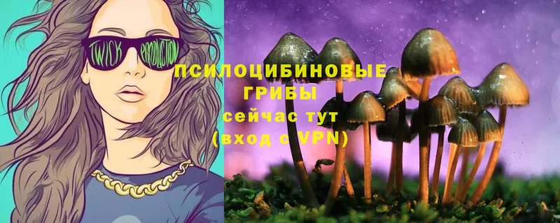 кракен ONION  Волоколамск  Галлюциногенные грибы Psilocybe 