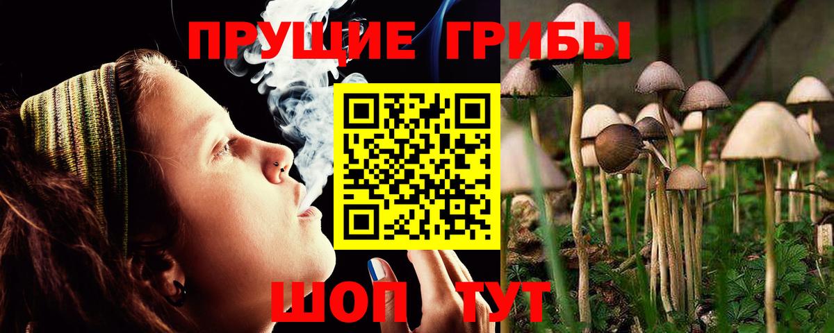 Галлюциногенные грибы MAGIC MUSHROOMS Волоколамск
