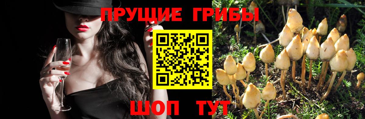 Волоколамск  ГАШ  Вход с VPN  МЕФ кристаллы 