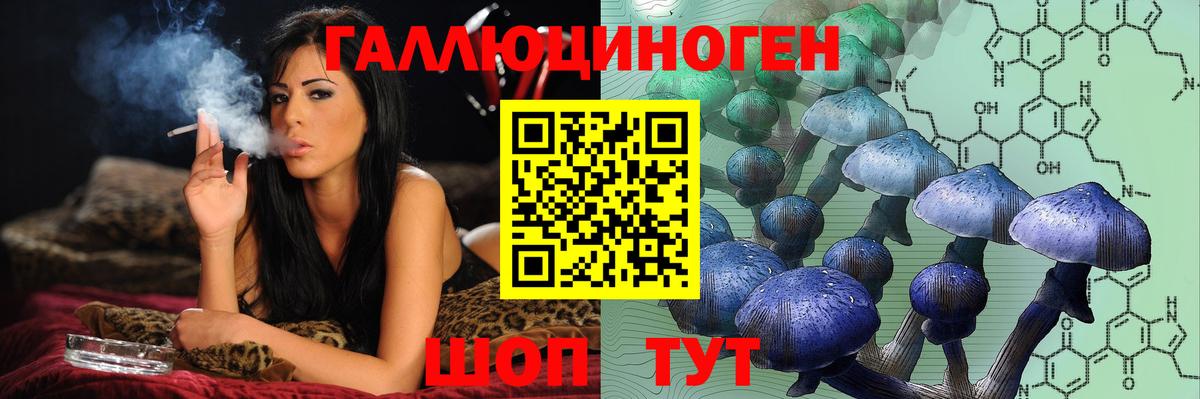 Галлюциногенные грибы Psilocybine cubensis  купить наркотики цена  Волоколамск  Галлюциногенные грибы Cubensis  Вход с VPN 
